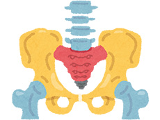 吹田市 こがし鍼灸整骨院 骨盤矯正 インナーマッスルトレーニング